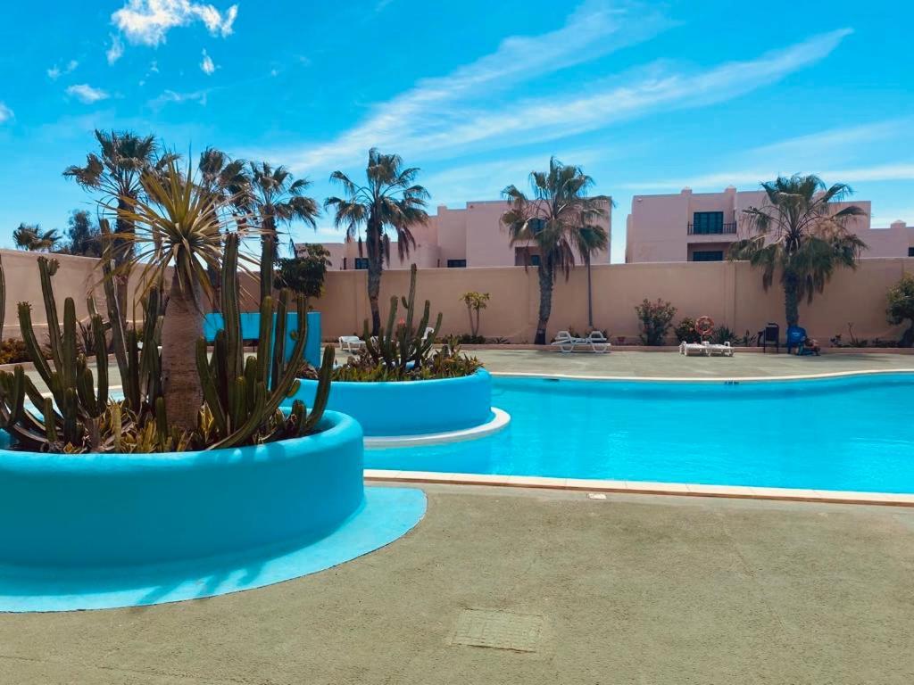 Parque HolandesSurf And Chill Bungalow 70公寓 外观 照片