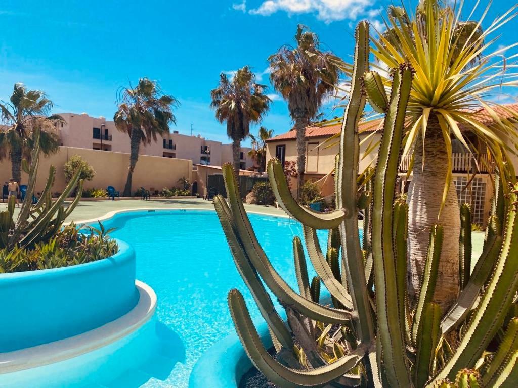 Parque HolandesSurf And Chill Bungalow 70公寓 外观 照片